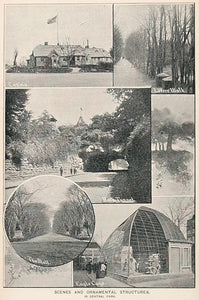 1893 Print Central Park Casino Eagle Cage New York City ORIGINAL HISTORIC NY2