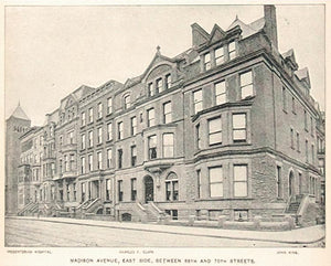 1893 Print Madison Avenue East Side New York City - ORIGINAL HISTORIC IMAGE NY2
