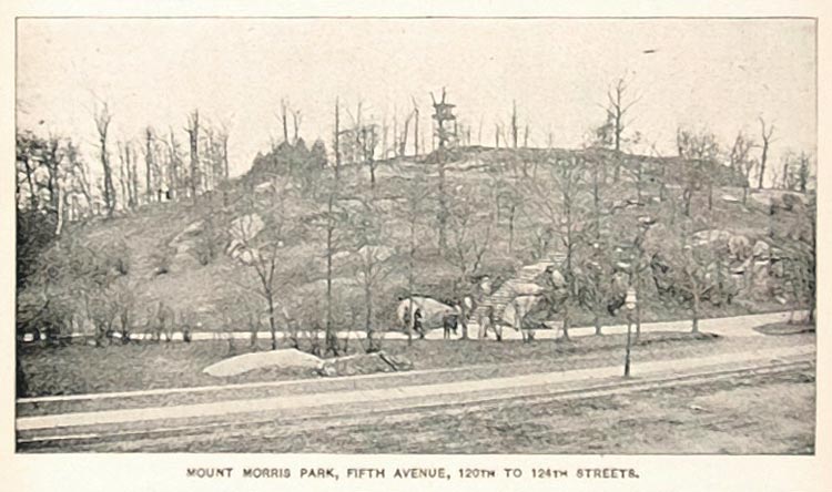 1893 Print Mount Morris Park Fifth Ave. New York City ORIGINAL HISTORIC NY2