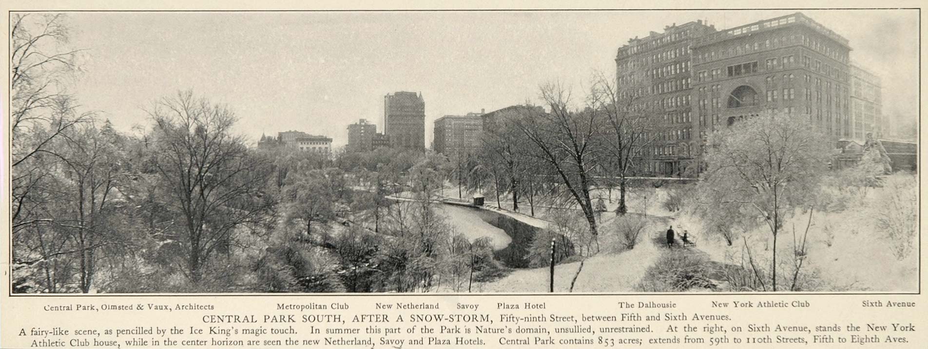 1903 Central Park South Snow Winter NYC B/W Print - ORIGINAL HISTORIC IMAGE NY