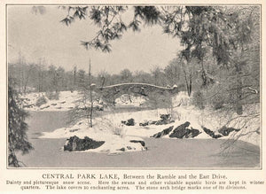 1903 Central Park Lake New York City Winter Snow Print ORIGINAL HISTORIC NY