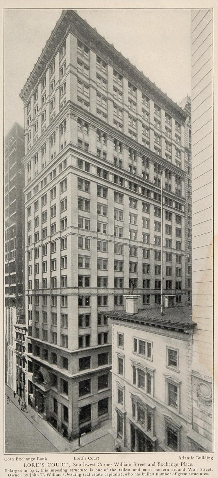 1903 Lord's Court Building John T. William NYC Print - ORIGINAL HISTORIC NY