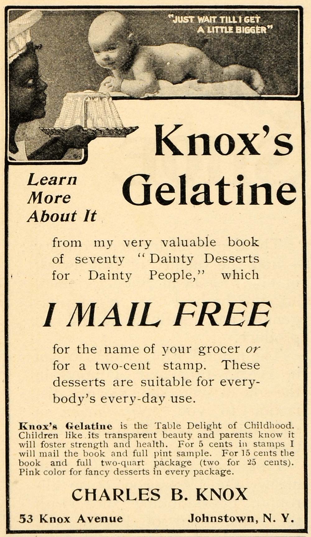 1902 Ad Charles Knox Gelatine Baby Desserts Johnstown - ORIGINAL ADVERTISING OD1