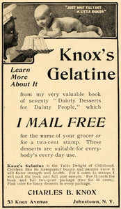 1902 Ad Charles Knox Gelatine Baby Desserts Johnstown - ORIGINAL ADVERTISING OD1