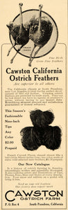 1906 Ad Cawston California Ostrich Farm Feathers Plume - ORIGINAL OD3