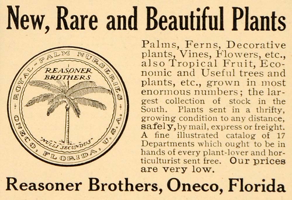 1909 Ad Reasoner Brothers Royal Palm Plant Nurseries - ORIGINAL ADVERTISING OD3
