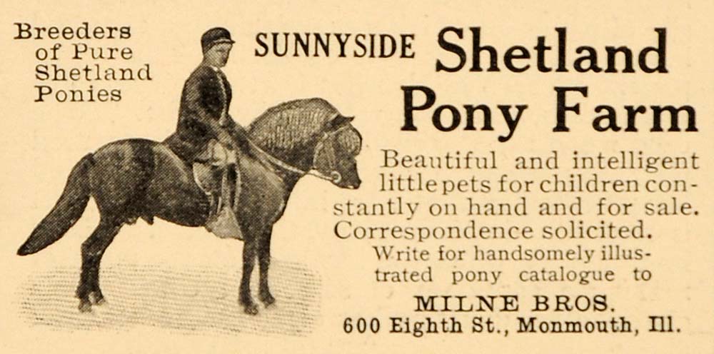 1909 Ad Sunnyside Shetland Pony Farm Milne Monmouth - ORIGINAL ADVERTISING OD3