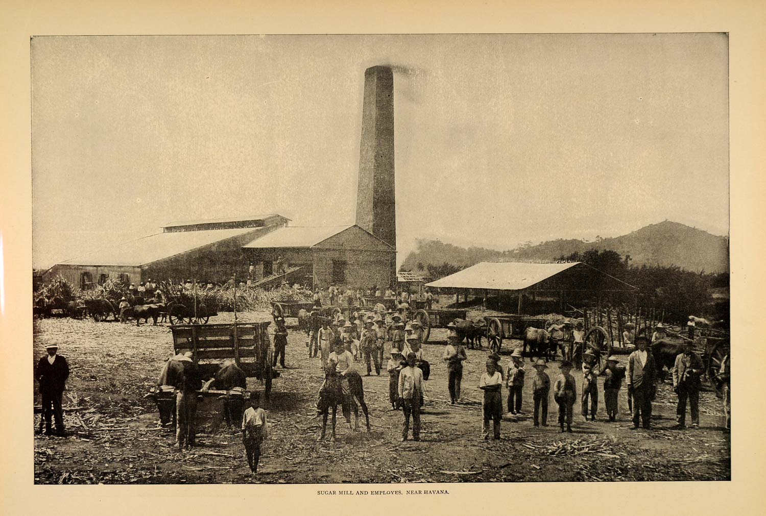 1899 Sugar Mill Havana Cuba Employees Workers Print - ORIGINAL HISTORIC OI1