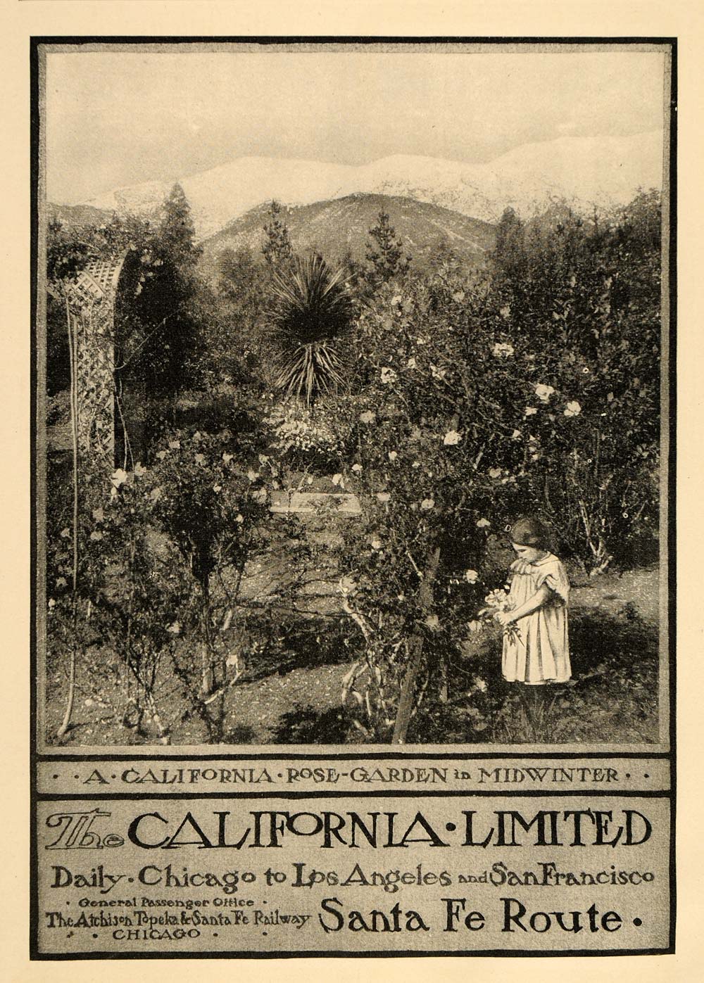 1901 Vintage Ad Santa Fe California Ltd. Rose Garden - ORIGINAL OLD1A