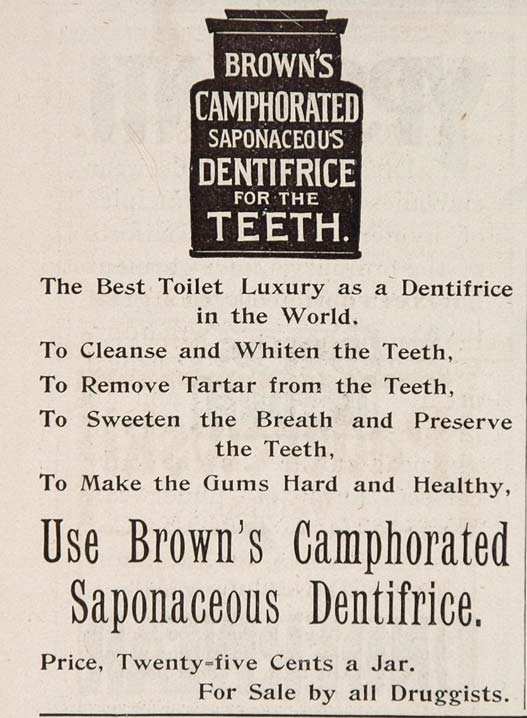 1896 ORIG Ad Brown's Camphorated Saponaceous Toothpaste - ORIGINAL OLD3