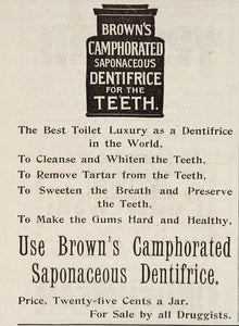 1896 ORIG Ad Brown's Camphorated Saponaceous Toothpaste - ORIGINAL OLD3