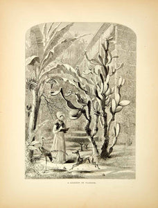 1872 Wood Engraving Florida Cactus Garden Botanical Flora Palm Tree Harry PA2