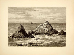 1872 Wood Engraving Seal Rocks San Francisco Pacific Ocean Robert Swain PA2