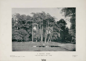 1904 Original Print Landscape Trees Goethe C. Real - ORIGINAL