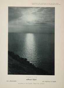 1934 Intaglio Ink Xylol Printing Ocean Sunset Print - ORIGINAL