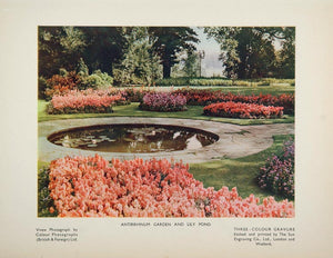 1934 Antirrhinum Garden Lily Pond Snapdragons Print - ORIGINAL