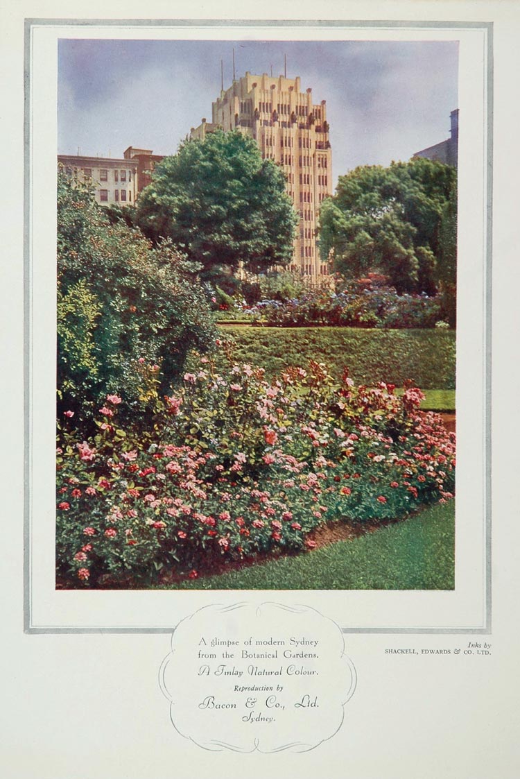 1934 Sydney Australia Botanical Gardens Color Print - ORIGINAL