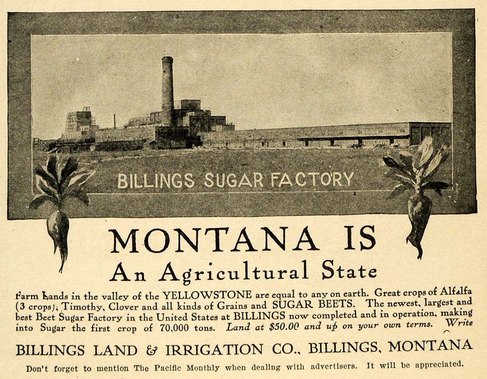 1908 Ad Billings Sugar Factory Land Irrigation Montana ORIGINAL PM2
