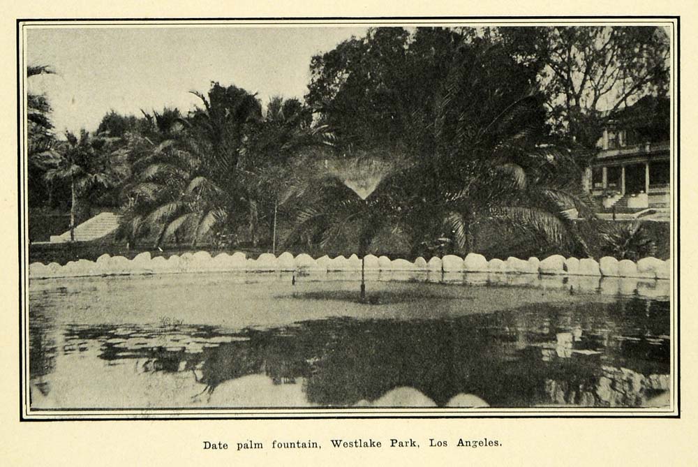 1905 Print Date Palm Fountain Weslake Park Los Angeles ORIGINAL HISTORIC PM2