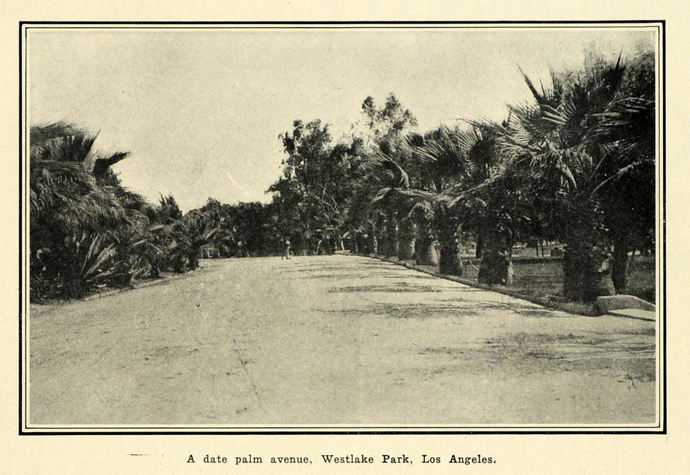 1905 Print Date palm Avenue Westlake MacArthur Park - ORIGINAL HISTORIC PM2