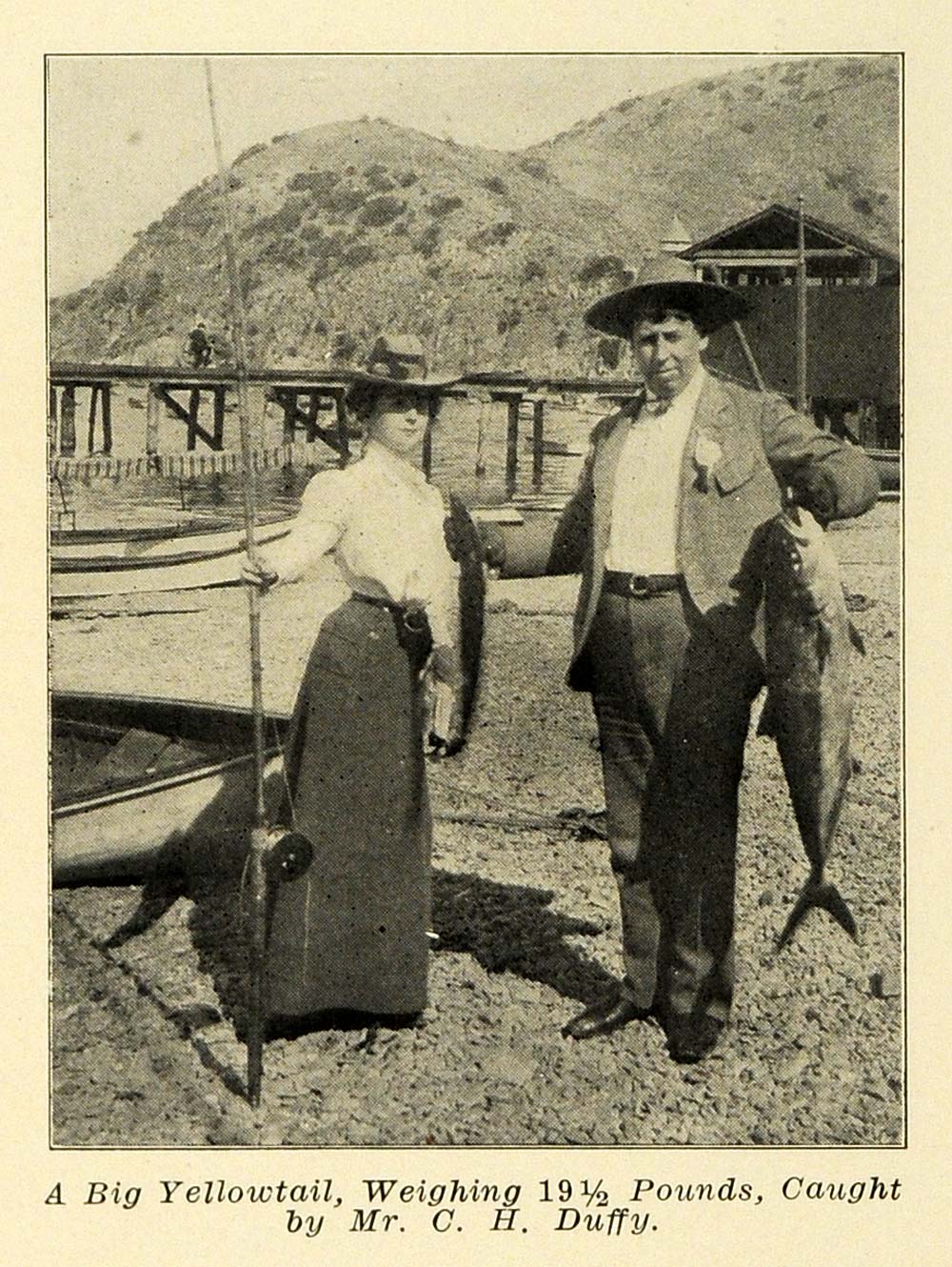 1907 Print Yellowtail C Duffy Fishing Fashion Amberjack ORIGINAL HISTORIC PM2