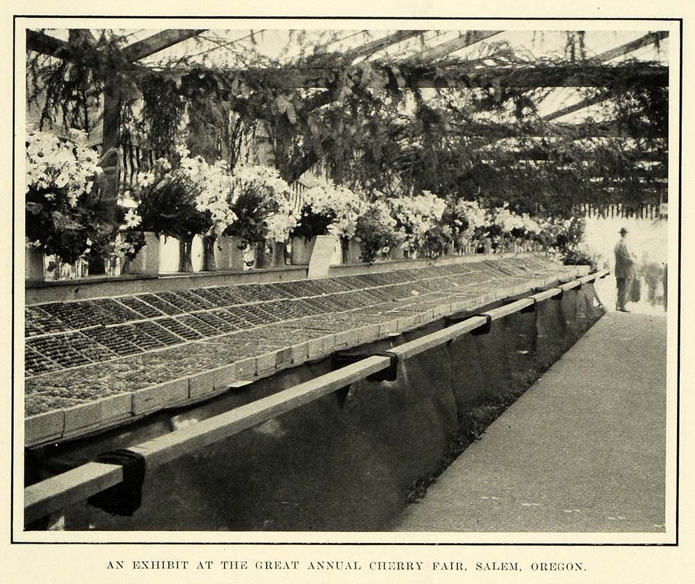 1911 Print Exhibit Cherry Fair Salem Oregon Marion - ORIGINAL HISTORIC IMAGE PM2