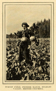 1911 Print Turnip Field Pioneer Ranch Bulkley Valley - ORIGINAL HISTORIC PM2