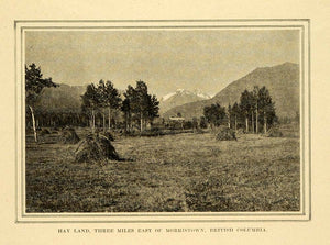 1911 Print Hay Land Morristown British Columbia Farm - ORIGINAL HISTORIC PM2