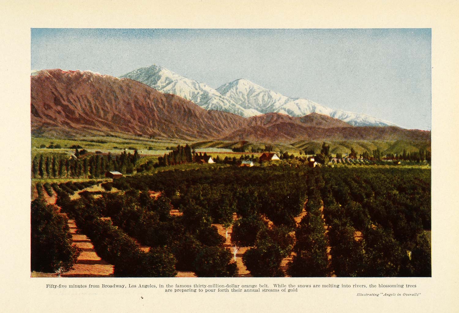 1912 Print Los Angeles California Orange Belt Nature Landscape Angels PM3