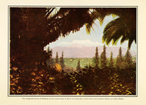 1910 Print Smiley Heights Mount San Bernardino Redlands California Landscape PM3