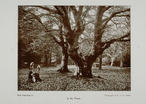 1911 Print Girls Forest Landscape Tree F. G. O. Stuart - ORIGINAL PNR1
