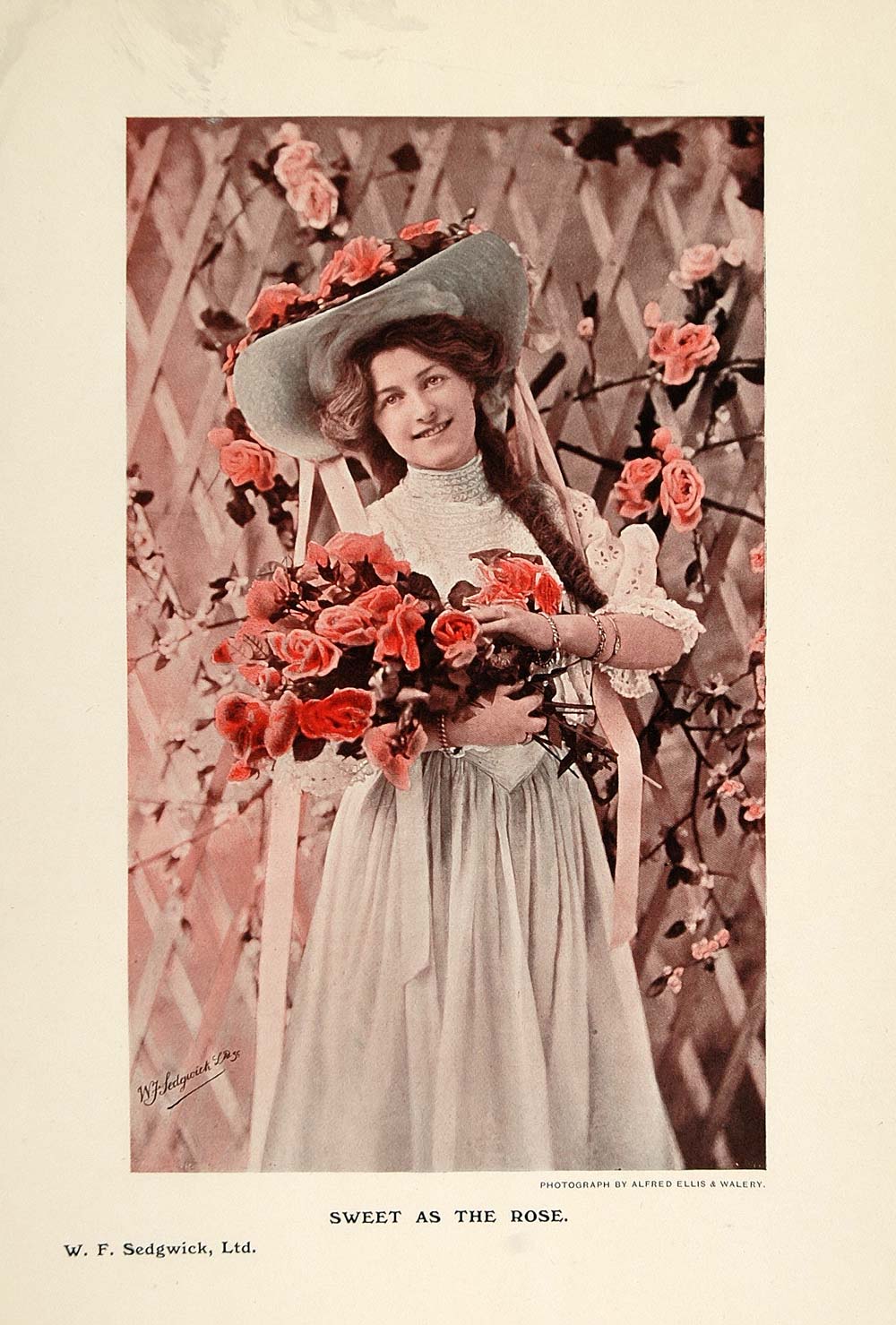 1908 Print Victorian Woman Portrait Roses Alfred Ellis - ORIGINAL PNR2