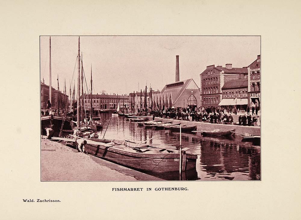 1908 Print Fish Market Feskekorka Gothenburg Sweden - ORIGINAL HISTORIC PNR2