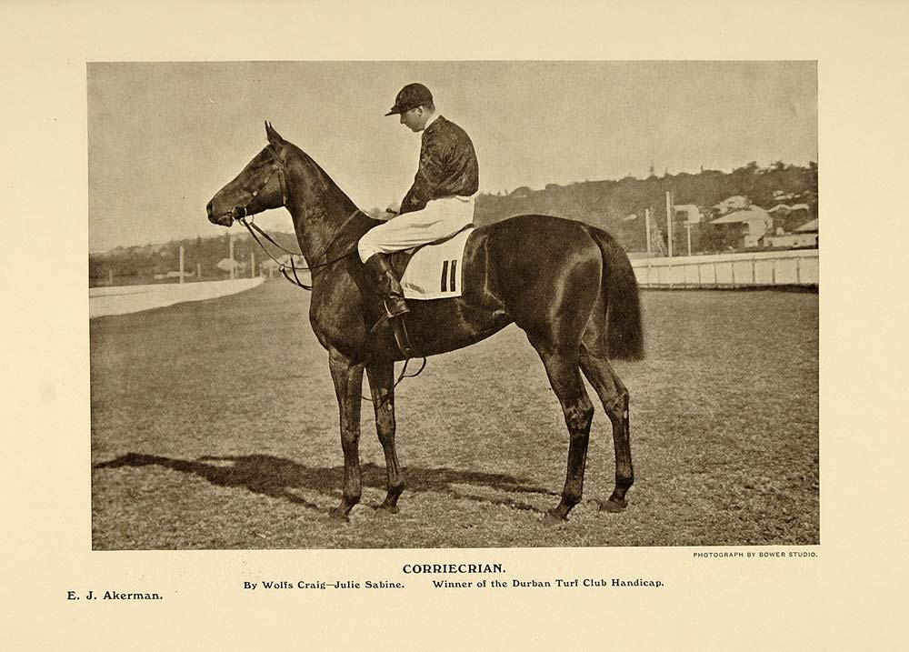 1908 Print Corriecrian Horse Durban Turf Club Handicap ORIGINAL HISTORIC PNR2