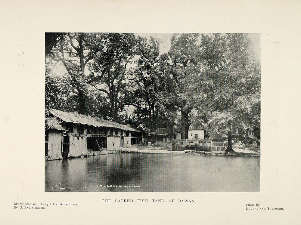1901 Print Sacred Fish Tank Pond Bawan India Hindu - ORIGINAL HISTORIC PNR4