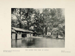 1901 Print Sacred Fish Tank Pond Bawan India Hindu - ORIGINAL HISTORIC PNR4
