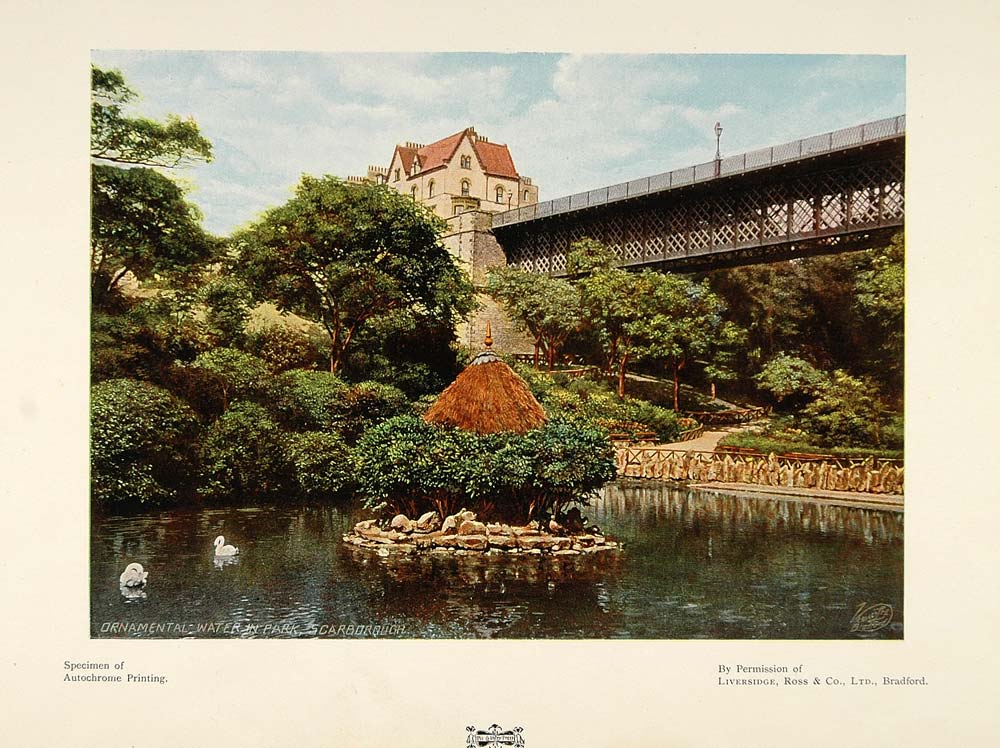 1901 Print Scarborough Bridge Water Park Swans England - ORIGINAL PNR4