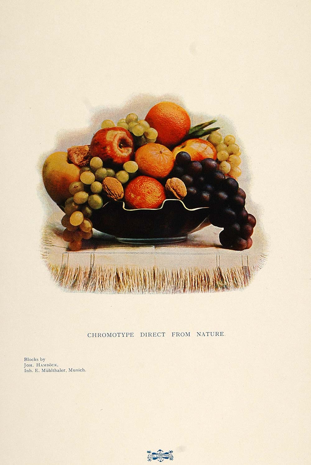 1901 Color Print Fruit Bowl Grapes Apple Orange Walnuts - ORIGINAL PNR4