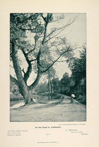 1897 Halftone Print Dirt Road to Ardlamont Landscape - ORIGINAL HISTORIC PNR5