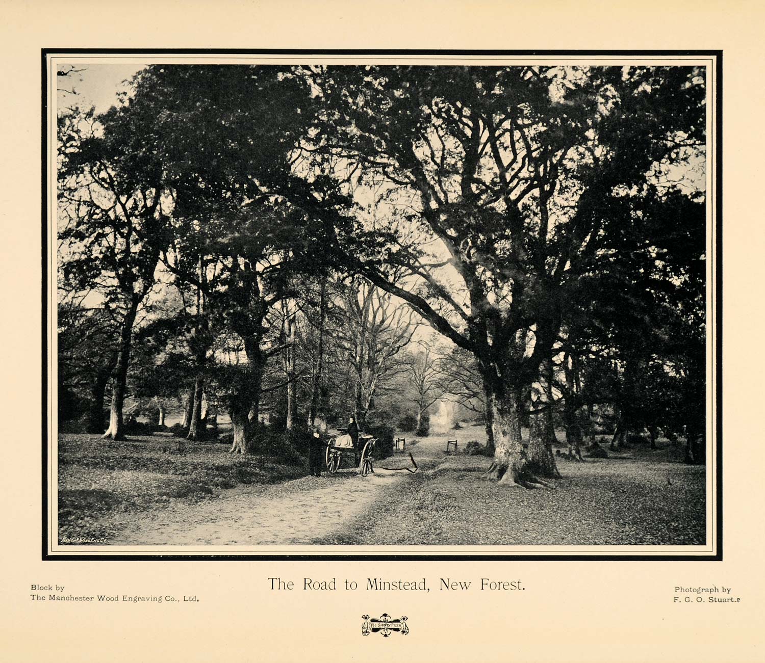 1905 Print Minstead Road New Forest F. G. O. Stuart Landscape Old Trees PNR8