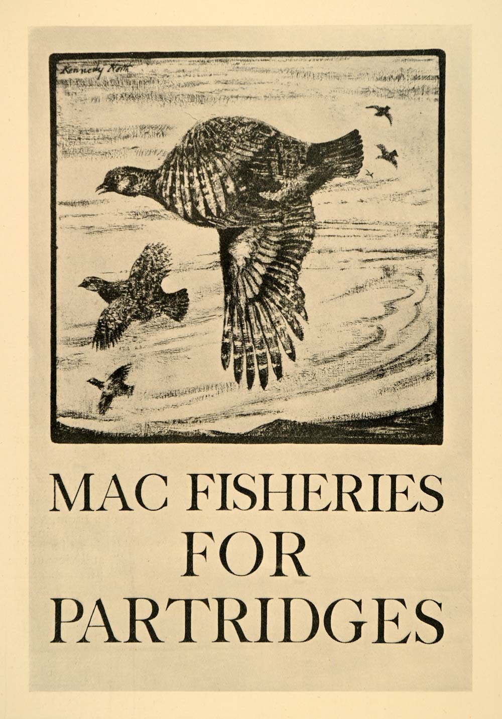 1927 Mini Poster Kennedy North Mac Fisheries Partridges Birds Vintage B/W PO4