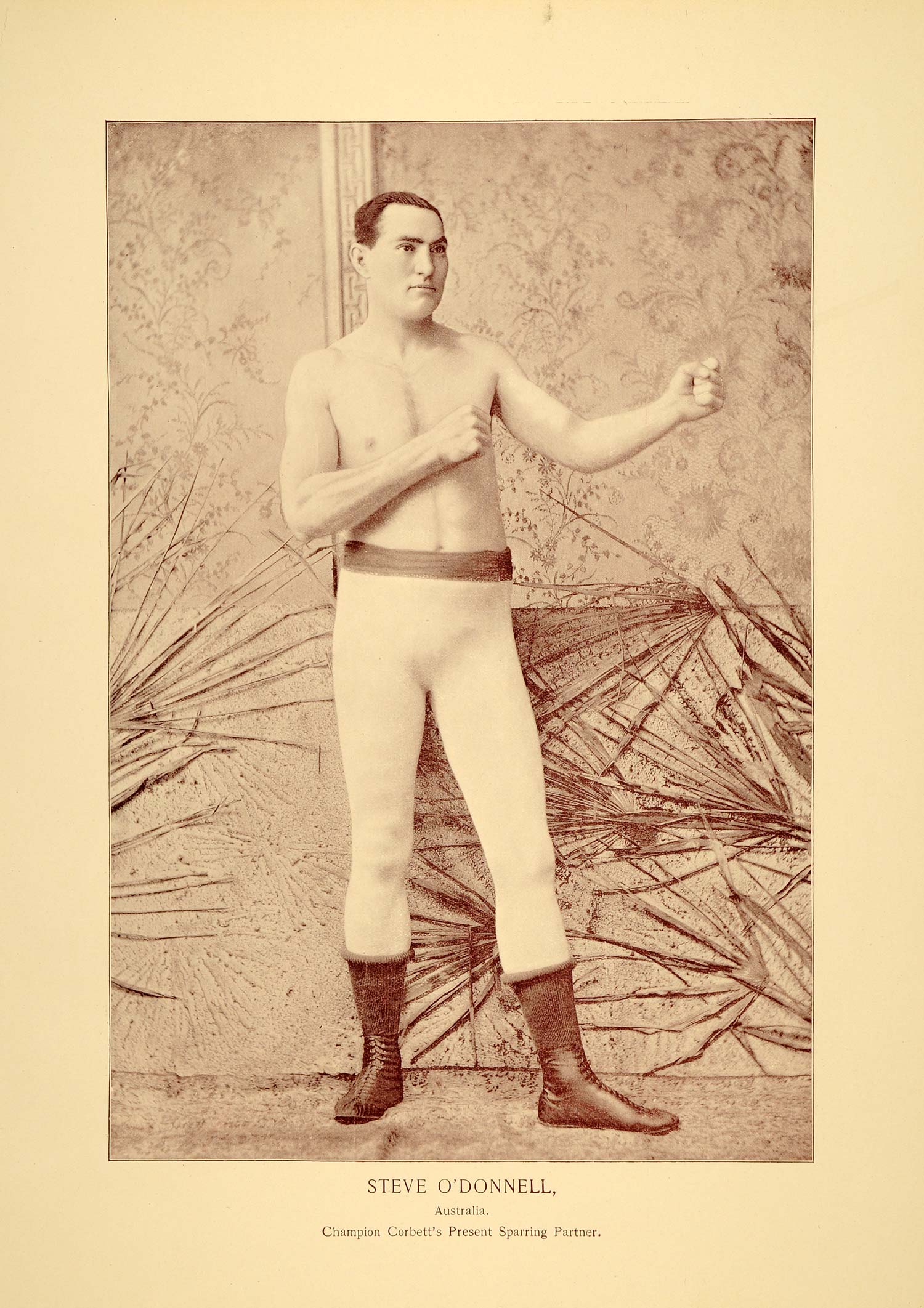 1894 Steve O'Donnell Boxer Australia Heavyweight Print ORIGINAL HISTORIC POA1