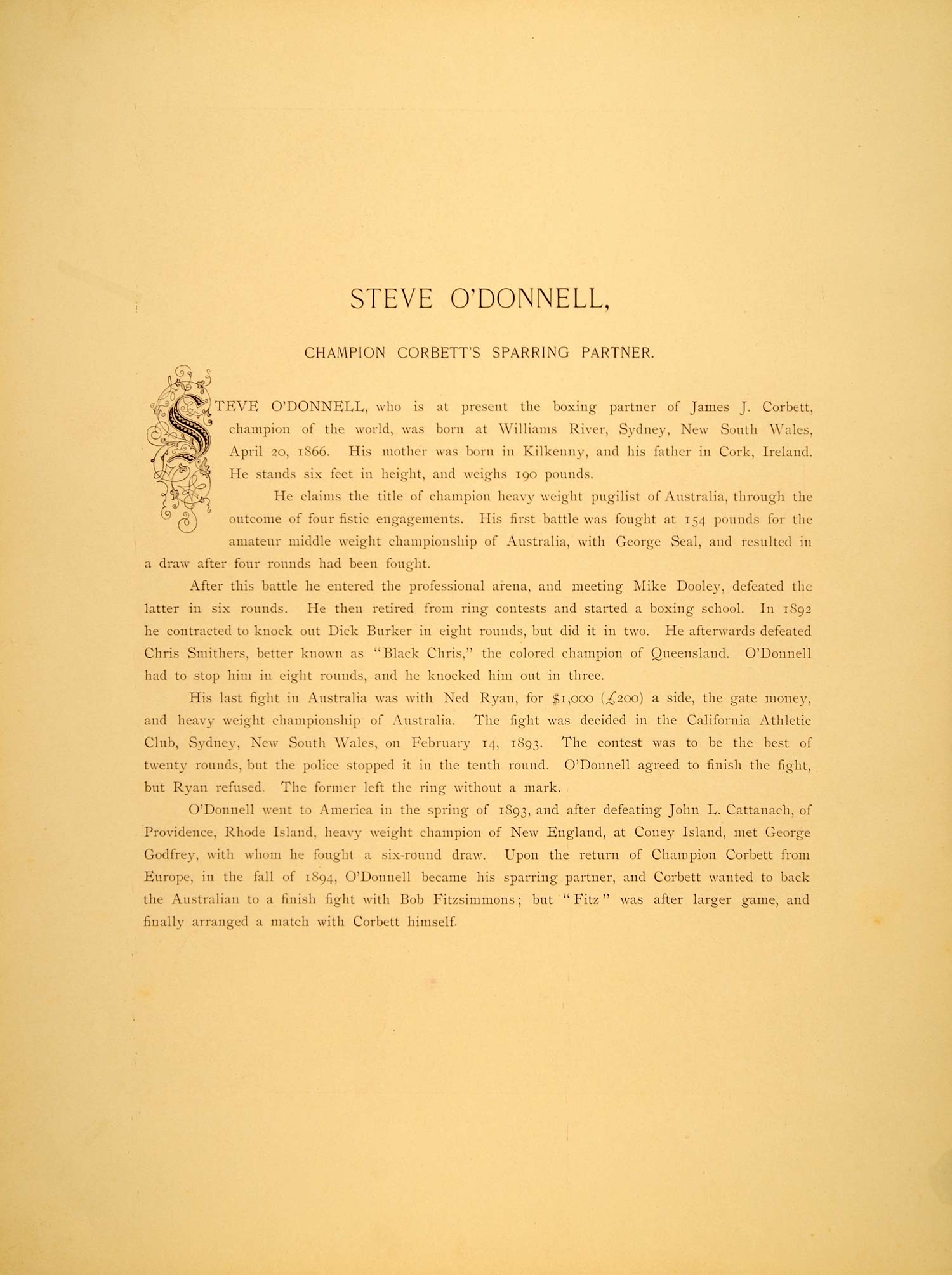 1894 Steve O'Donnell Boxer Australia Heavyweight Print ORIGINAL HISTORIC POA1