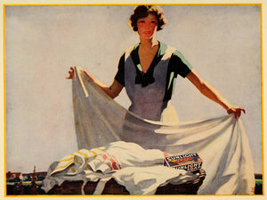 1926 Andrew Johnson Sunlight Soap Lever Poster Print - ORIGINAL POS8A