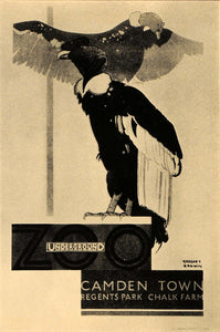 1933 London Zoo Birds Underground Gregory Brown Print Birds Vulture Animal POSA6