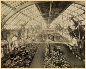 1899 Print Interior Horticulture Building 1893 Chicago Worlds Fair PPB1