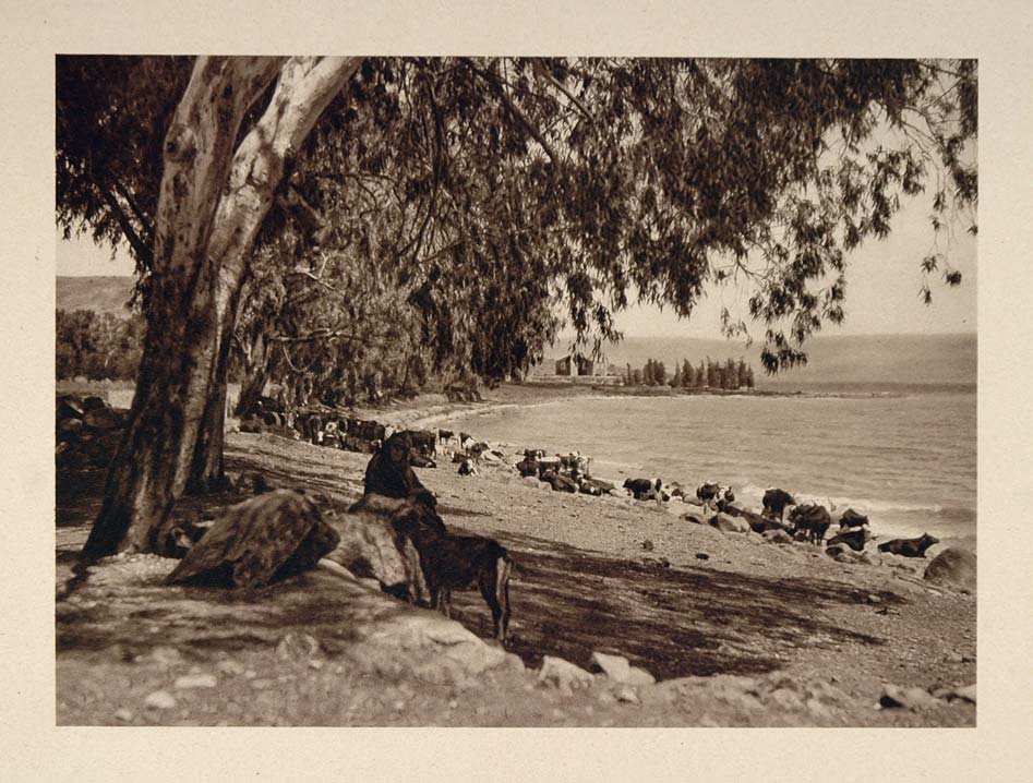 1926 Sea of Galilee Lake of Gennesaret Tiberias Israel - ORIGINAL PS1
