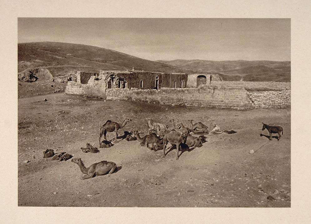 1926 Camels Caravansary Khan Good Samaritan Palestine - ORIGINAL PS1