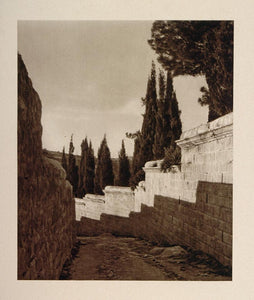 1926 Garden of Gethsemane Jerusalem Israel Palestine - ORIGINAL PHOTOGRAVURE PS1