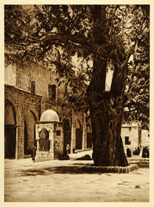 1925 Jerusalem Old City Temple Mount Fountain Tree - ORIGINAL PHOTOGRAVURE PS5